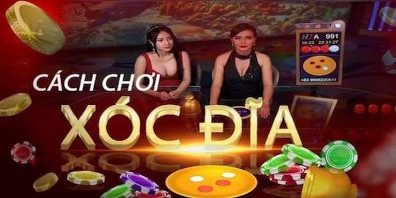 Xóc Đĩa Cơm Gạo Là Gì? Tìm Hiểu Thuật Ngữ Thường Gặp