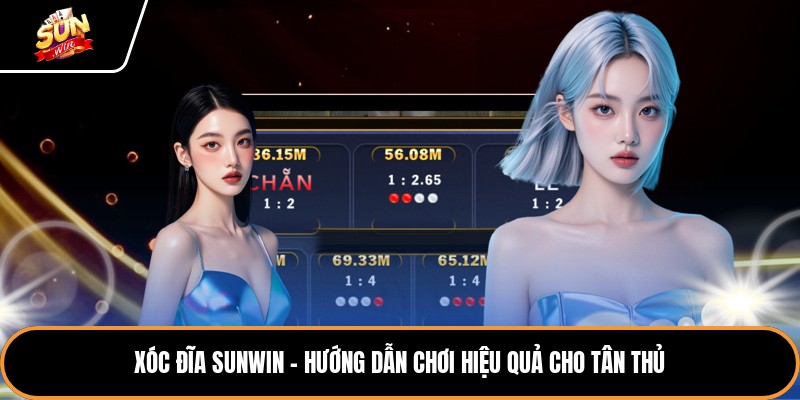 Chiến Thuật Đọc Bảng Vị Và Soi Cầu Xóc Đĩa Sunwin