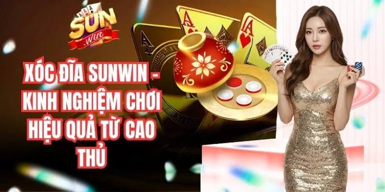 Những Lưu Ý Cho Người Mới Chơi Xóc Đĩa Sunwin Tránh Mất Tiền Oan