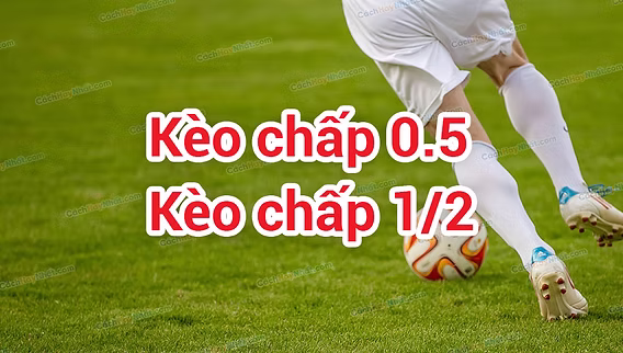 Kèo Chấp 0.5 Go88 Và Cách Đọc Cửa Trên Cửa Dưới Chi Tiết